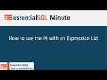 How to use the IN with an Expression List | Essential SQL
