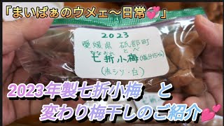 2023年製　七折小梅と、変わり梅干しのご紹介💕