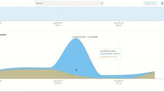 Per Application Data Consumption