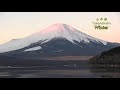 冬の山中湖 日の出時に真っ赤に染まった富士山 逆さ富士