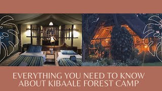 Kibale forest camp.. Room tour and more