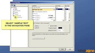 BarTender - How to Insert a Text box