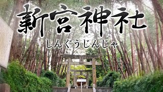 「新宮」の地名の由来になったといわれる神社【新宮神社】