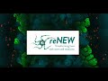 reNEW - The Novo Nordisk Foundation Center for Stem Cell Medicine