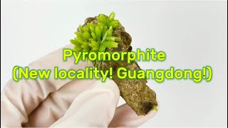 Chinese mineral specimen: Pyromorphite from Yangjiang city, Guangdong province, China! New locality!