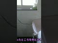 [古い空家]よく見かける洗濯機置けない問題！ #shorts #short #洗濯機 #空家 #空き家 #空き家リフォーム #空き家活用 #横浜 #マリアージュ賃貸