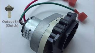 DC Gear Motor Dual Shaft