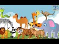 Wild animals sounds (காட்டு விலங்குகள் எப்படி கத்தும் தெரியுமா )