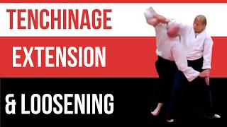 Mastering Tenchinage in Aikido | Extend \u0026 Loosen Techniques | Baarn 2023