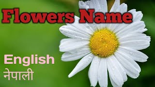 Flowers name in English and Nepali for children/ फुलहरुको नाम