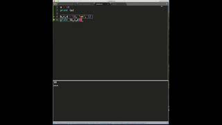 #5: How to declare variables in python