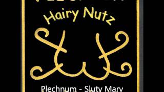 Plechnum - Sluty Mary