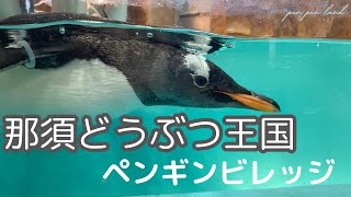 那須どうぶつ王国◆ペンギンビレッジ