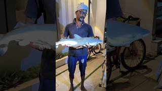 വലയിൽ കുടുങ്ങി കിട്ടിയ കുട്ടിസ്രാവ്,Baby shark caught in a net,  #shorts #viral #shark #shark