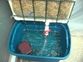 diy greenhouse swamp cooler