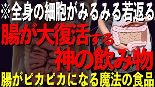 腸を整えるだけで全身が若返る！全細胞が若返る神の飲み物と食品を徹底解説！