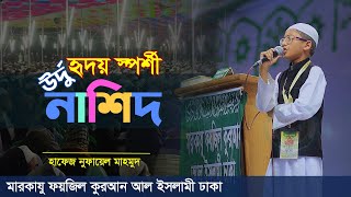 হৃদয়স্পর্শী উর্দু নাশিদ || মারকাযু ফয়জিল কুরআন | Hafez Nufail Mahmood