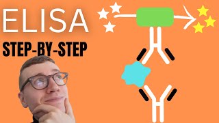 4 Steps of ELISA (Enzyme-Linked Immunosorbent Assay Simply Explained)