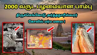 2000 வருட பழமையான பாம்பு ! திருச்செங்கோடு அர்த்தநாரீஸ்வரர் கோவில் ! மர்ம மலை !