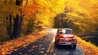 Enchanting Autumn Forests with Beautiful Piano Music🍁4K Autumn Ambience \u0026 Fall Foliage