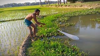 অনেক দিন পরে ঘাঘুলোকের মাছ ধরা | TheVillageBoy Vlogs