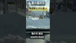 「雪の福井市」早朝「大雪警報」が出てましたが、今は解除され穏やかです。積雪の深さは、福井市50cm、大野市140cm、大野市九頭竜244cmとの事。福井市 経田。2025年2月8日。