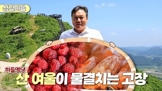 新우문현답 | 353회. 농부의 고집  | 경북 상주시 함창읍 상갈마을 (KBS 2023.07.19 방송)