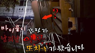 [ENG SUB] *또치 출격!* 마이콜이 도망쳐 나온 그곳..! 또치가 마음 단단히 먹고 들어갑니다