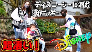 お誕生日ディズニー 2泊3日 20周年！ディズニーシーに潜む隠れミッキーが超凄い！ワクワクが止まらないぜ！