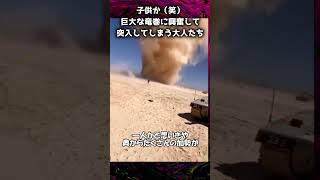 【衝撃映像】巨大な竜巻に興奮して突入してしまう大人たち