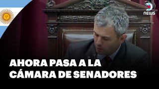 Diputados aprueban media sanción para suspender las PASO en Argentina - DNews