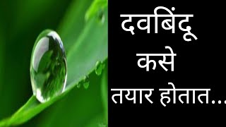 दवबिंदू कसे तयार होतात | Davbindu kase tayar hotat |