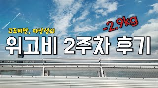 [시험관 위고비 다이어트 2] 고도비만 다낭성의 위고비 2주차 후기 ｜ 식욕 조절이 쉬워졌어요