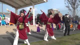 周防紅華連 黒田武士 2011門司おもてなしイベント