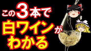 【ワイン初心者】白ワインの違いがわかる！おすすめワイン３選（ゆっくり解説）