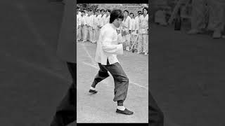 Bruce Lee video