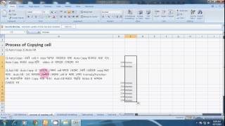 Excel auto copy and auto fill | এক্সেল অটো কপি এবং অটো ফিল ফিচার