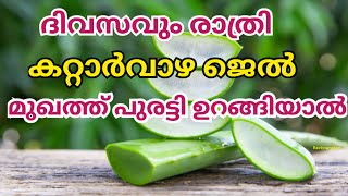 ദിവസവും രാത്രി കറ്റാർവാഴ ജെൽ മുഖത്ത് പുരട്ടി ഉറങ്ങിയാൽ#alovera,#healthbenefits,#krishi,#കറ്റാർവാഴ