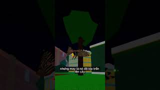 Roblox Cậu Bé Này Đã Nhận Bài Học Và Nhận Nuôi Con Đại Bàng Tốt Bụng #shorts #roblox #bloxfruits