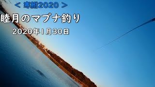 【寒鮒2020】睦月のマブナ釣り　Crucian fishing in January.