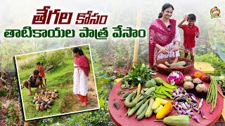 Harvest/ఈ సీసన్ కి ఆఖరి హార్వెస్ట్ చేసాము, తేగల కోసం తాటికాయల పాతర వేసాము @MADGARDENER  #gardening