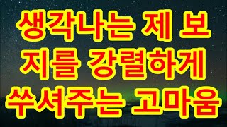 (실화사연)가맹점주 사장그녀 유혹에 정신을 못 차려요.. _ 실화사연 _ 네이트판 _ 사연 _ 연애 _ 사랑 _ 라디오 _ 사연읽어주는여자#사이다사연 #시어머니 #반전사연