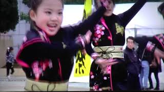 MY matsuri　ひたち舞祭10SPRING　Hi-tachiGP2010 / 馴柴舞踊隊、パピヨン、Dream☆Jr.