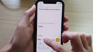 iPhone 12: How to Increase/Decrease the Text Size & Format in the Notes App