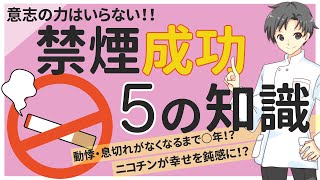 【健康とタバコ】誤解が成功率をさげるⅠ長期禁煙を成功させるコツや禁煙補助薬など【薬剤師が徹底解説】