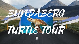 澳洲邦德堡夜間賞海龜之旅！BUNDABERG TURTLE TOUR VLOG