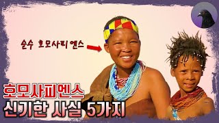 인간이 멸종 직전까지 갔었다?! 호모사피엔스에 대한 신기한 사실 5가지