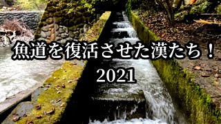 【魚道】丹沢の魚道を復活させた漢たち2021