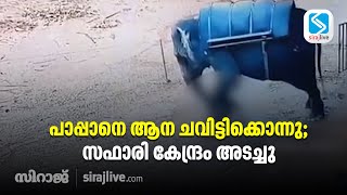 പാപ്പാനെ ആന ചവിട്ടിക്കൊന്നു; സഫാരി കേന്ദ്രം അടച്ചു | SIRAJLIVE.COM