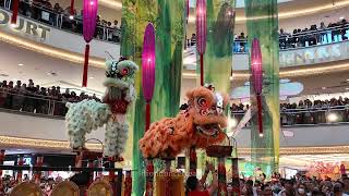 Pre-CNY 2025 - Acrobatic Lion Dance by 雪州万挠玄龙体育会 Rawang Xuan Long at Mid Valley Megamall